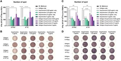 Isoprinosine as a foot-and-mouth disease vaccine adjuvant elicits robust host defense against viral infection through immunomodulation